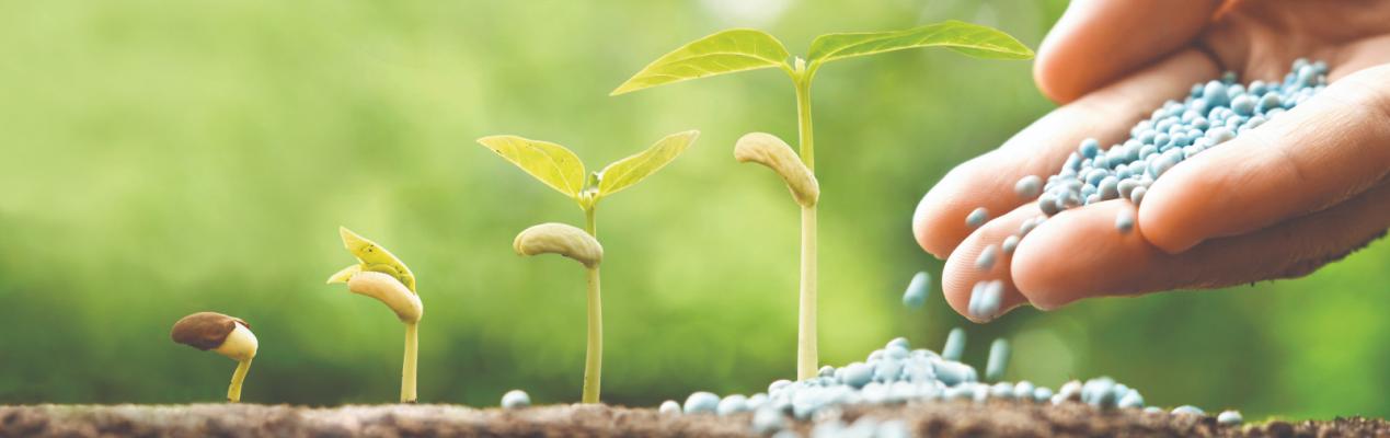 κατασκευαστές οργανικών λιπασμάτων λουλουδιών κατασκευαστές οργανικών λιπασμάτων λουλουδιών