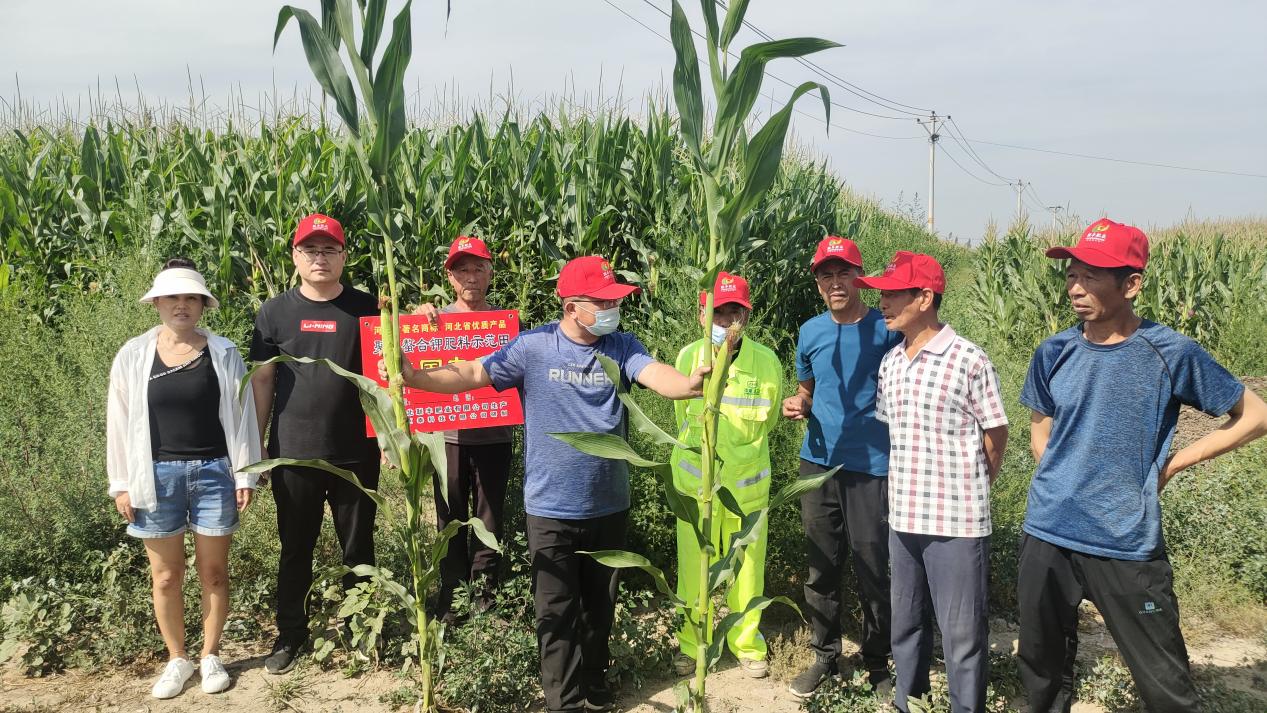 npk fertilizer full form