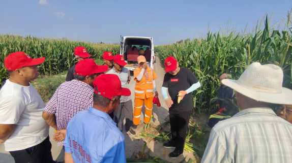 Humic Acid NPK Fertilizer Providers for Enhanced Plant Growth Solutions