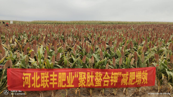 Benefits of Using High Nitrogen Fertilizer in Spring for Optimal Plant Growth