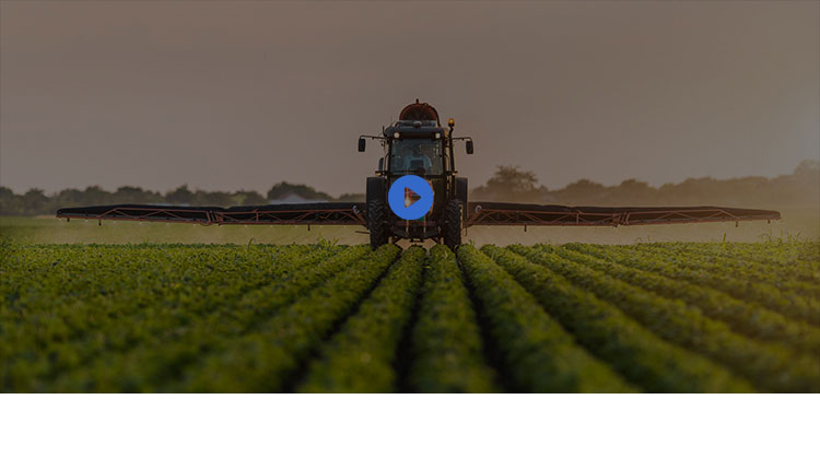 bulk water soluble fertilizer factory