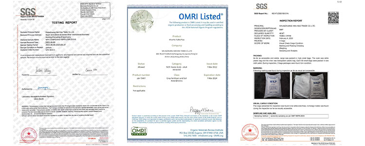 Organické NPK hnojivo továrny Organické NPK hnojivo továrny