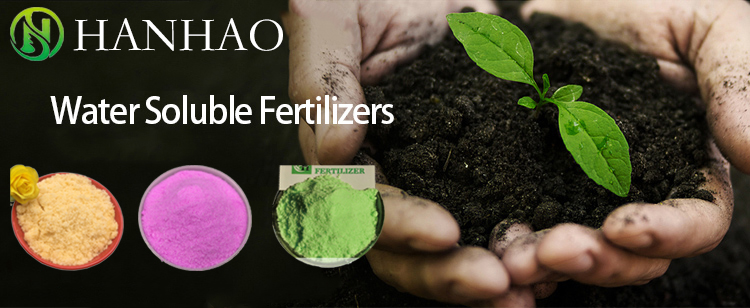 Single super phosphate composition and benefits for soil fertility and plant growth