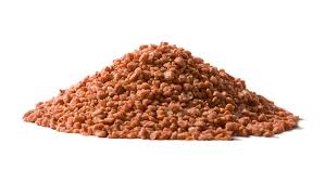 Top Water Soluble Fertilizers for Optimal Plant Growth in 2020 to 2030