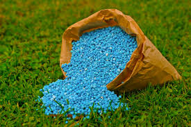NPK Fertilizer Pellet Manufacturing Plant Production and Operational Insights