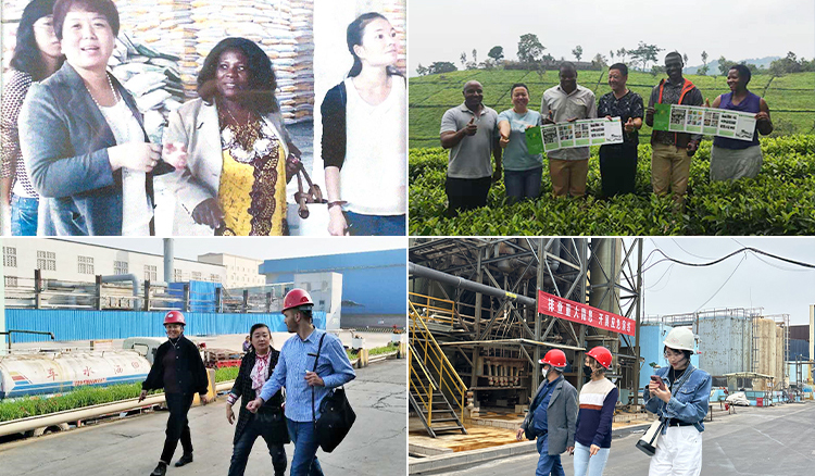 High-Quality Organic Plant Meal Fertilizer Supplier for Sustainable Gardening and Agriculture Solutions