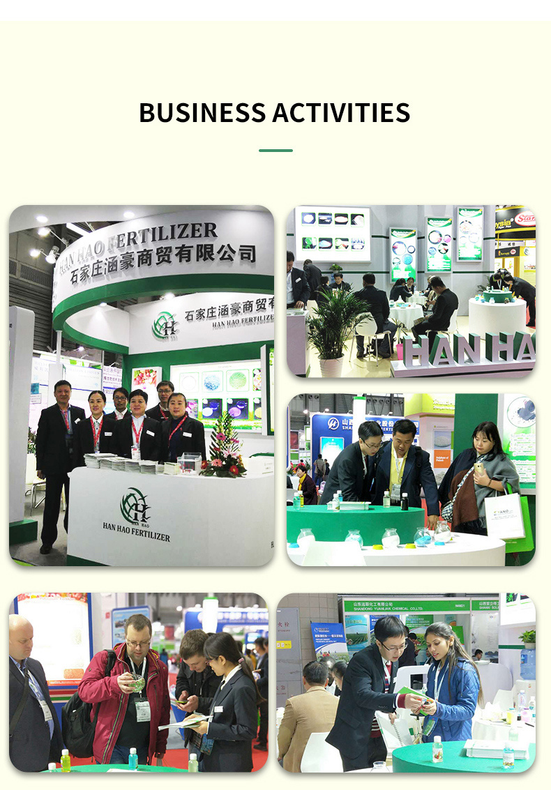 High-Quality NPK Fertilizer Production Plant for Sale from Leading Manufacturers Worldwide