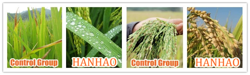 fertilizer maker suppliers