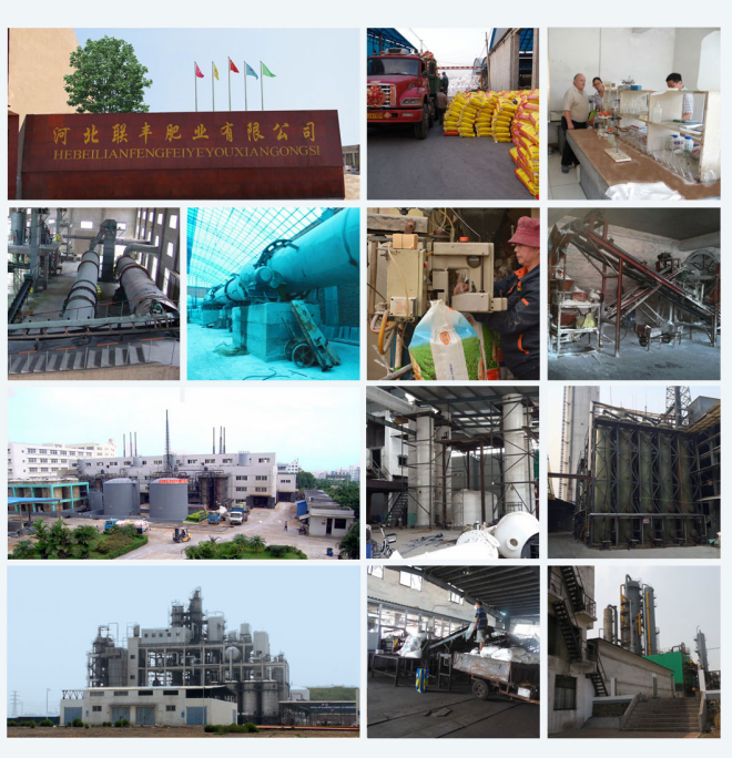 Understanding the Benefits and Applications of 14-14-14 NPK Fertilizer for Optimal Plant Growth