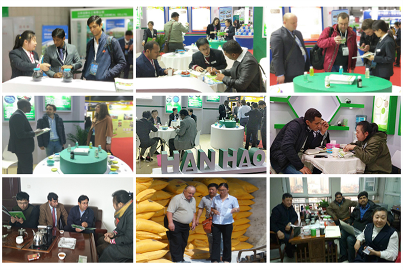 24% Nutrient-Rich Fertilizer Production Plant for Sustainable Agriculture Solutions