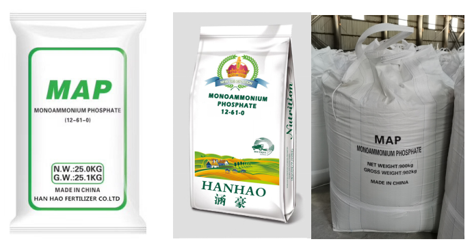 टोमॅटो साठी सर्वोत्तम जैविक खताचे पर्याय पॉट मध्ये