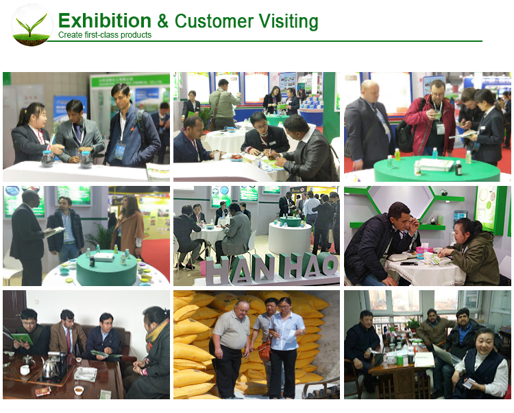 Wholesale Manufacturer of Water Soluble Fertilizers for Enhanced Agricultural Productivity Wholesale Manufacturer of Water Soluble Fertilizers for Enhanced Agricultural Productivity