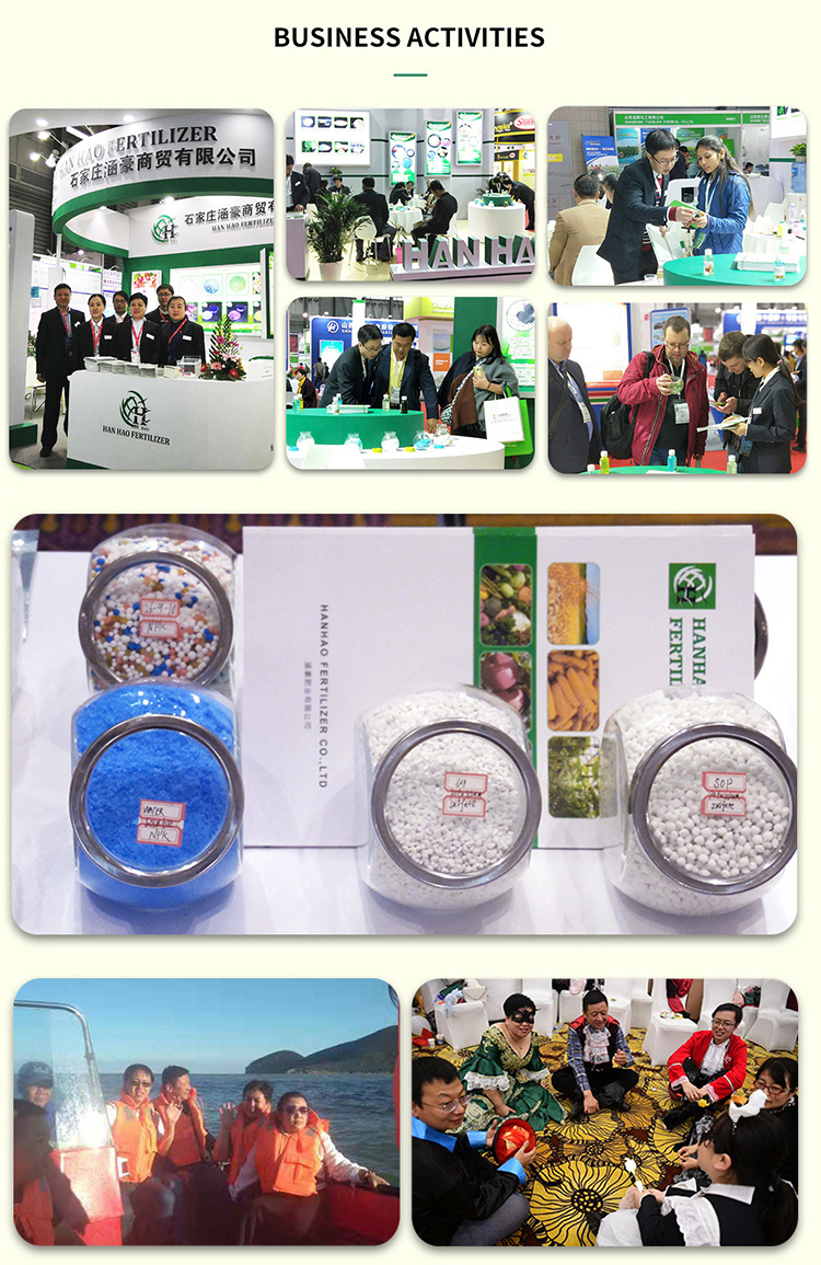 15-15-15 water soluble fertilizer manufacturer 15-15-15 water soluble fertilizer manufacturer