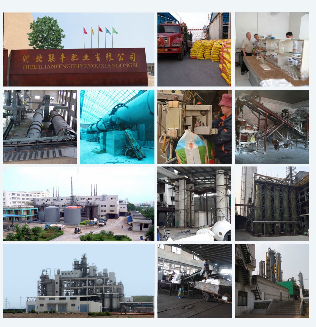 granular npk 12-24-12 fertilizers factory granular npk 12-24-12 fertilizers factory