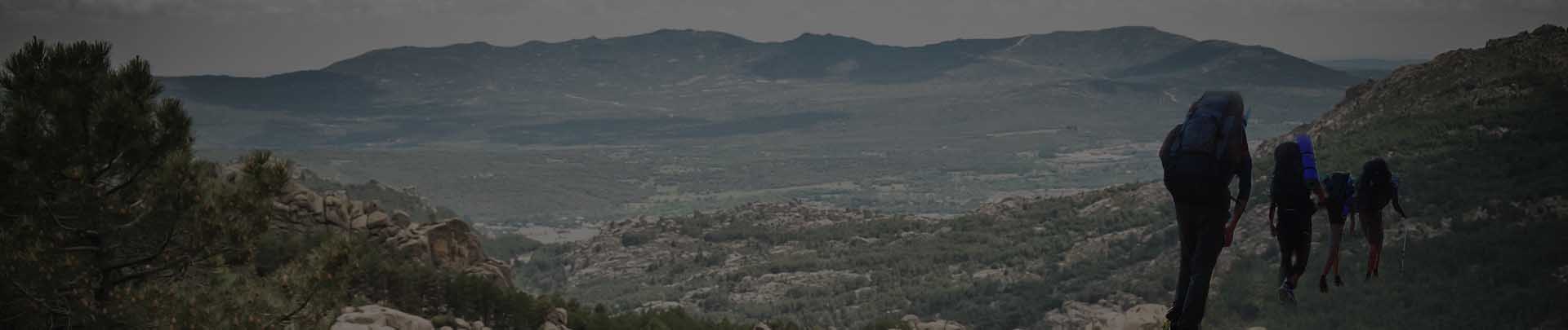 Top Security Fence Manufacturers for Enhanced Protection Solutions