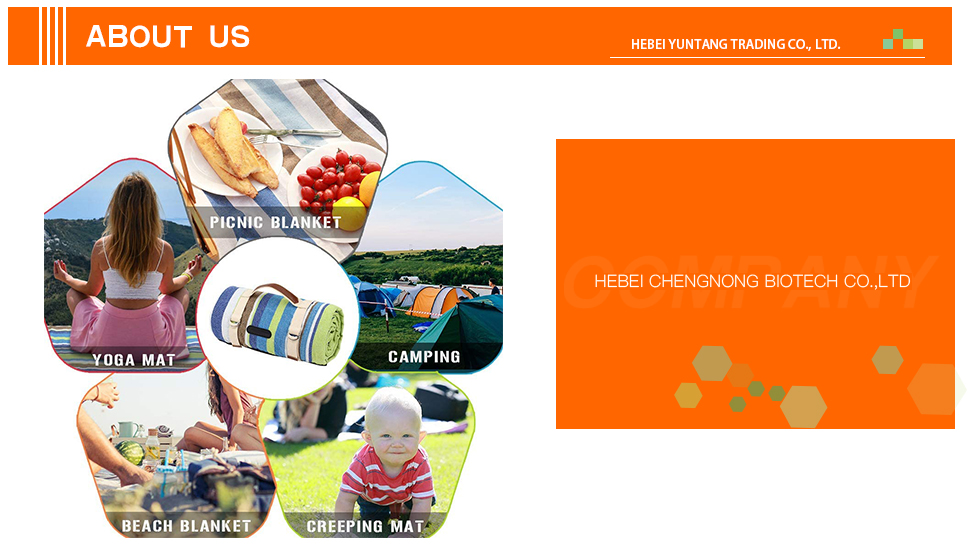 High-Quality Galvanized Fence Solutions from China for Durable Outdoor Protection