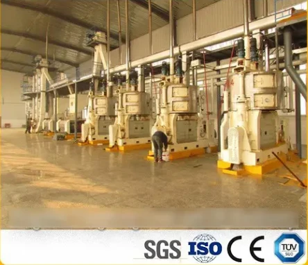 The Power of an Advanced Oil Press Machine