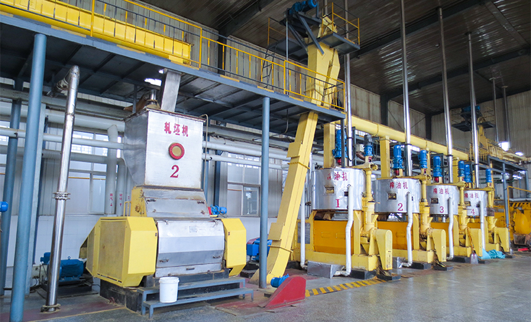 Peanut Oil Press Machine