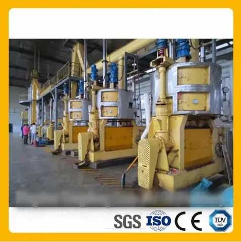 High-Performance Oil Production Lines for Commercial Success