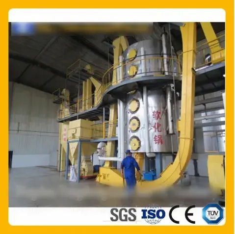 Vegetable Oil Plant Solutions: Efficient and Sustainable Production