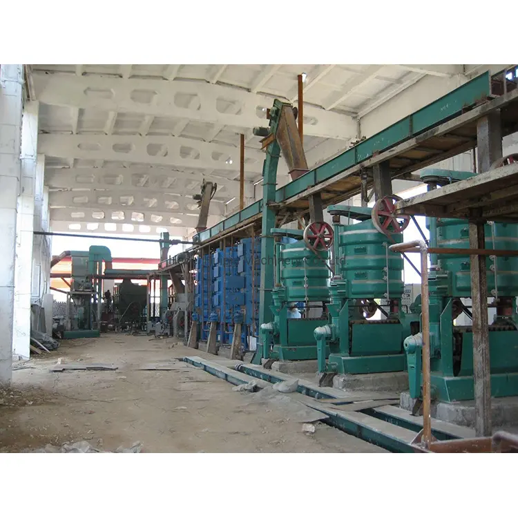oil cold press machine manufacturer
