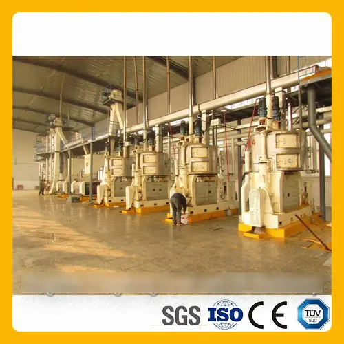 Exploring Market Trends and Insights for Vegetable Oil Refinery Investments and Opportunities in 2023