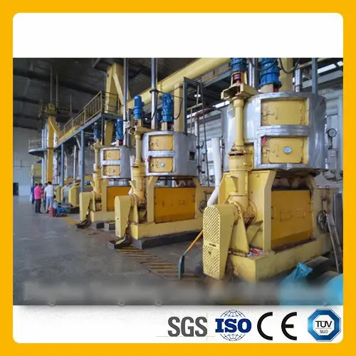 экстракцыя сонечнага алею праз прэс для адмысловага выкарыстання