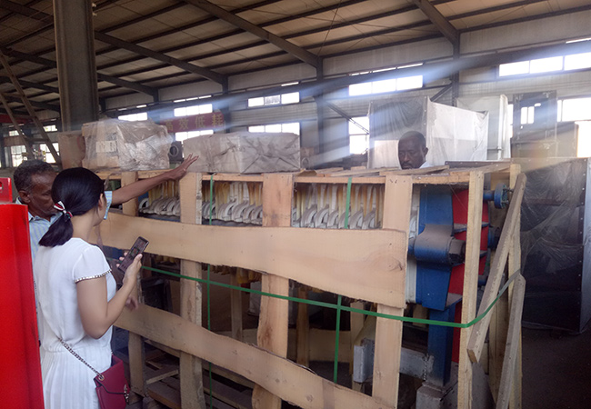 Oil Press Machine Cold Coconut