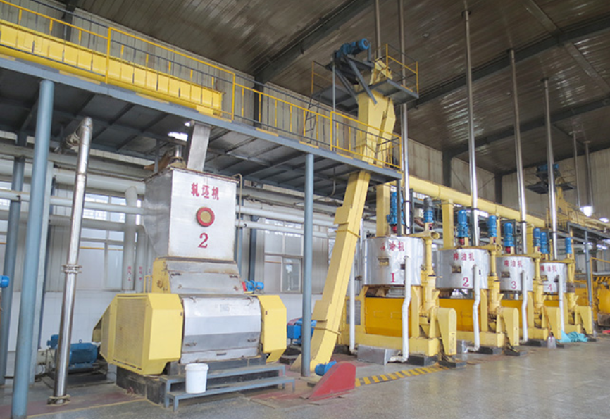 continuous screw oil press exporter