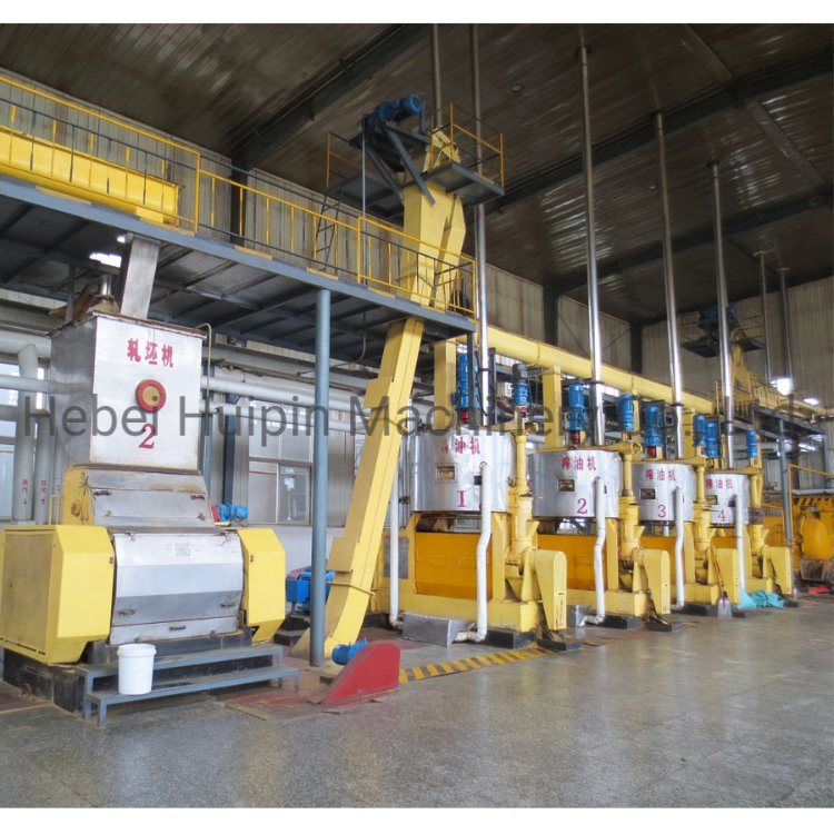 china canola oil plant china canola oil plant