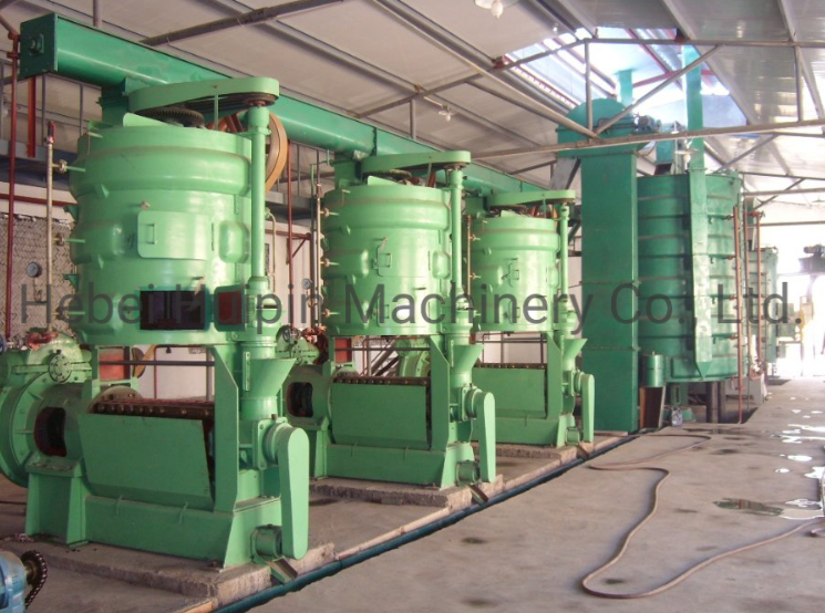 buy seeds oil making machine