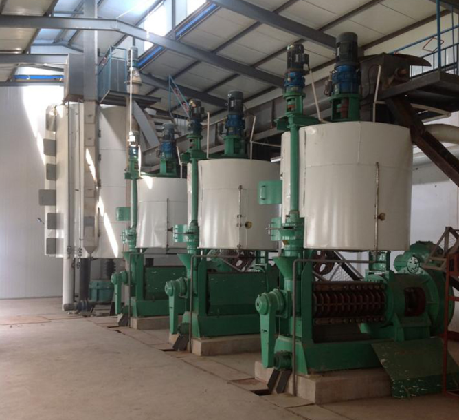 sunflower oil seed press machine quotes