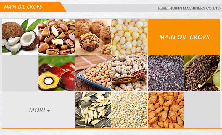 Energy Efficient Compact Oil Press Machines for Export Markets and Small Scale Production