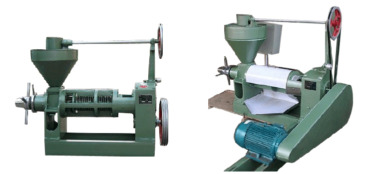 China's Growing Demand for Nut Oil Press Technology and Innovations