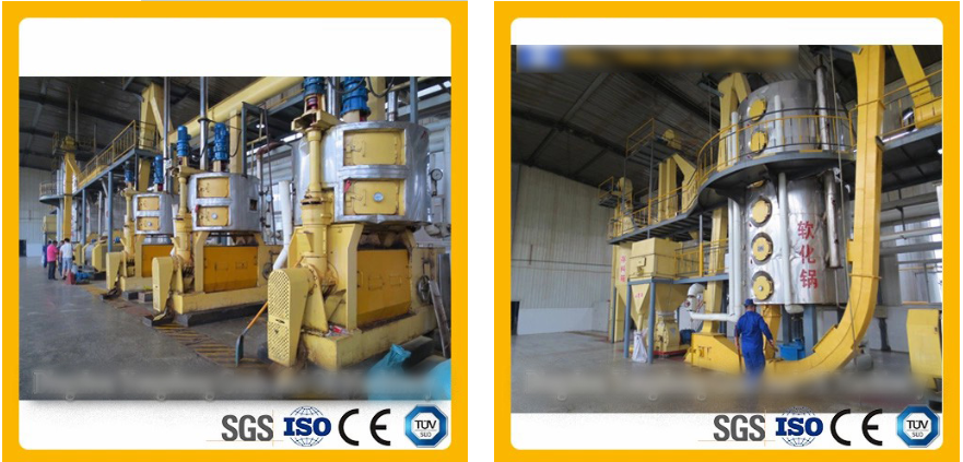 China Sunflower Oil Press Machine for Edible Oil Production and Processing Solutions