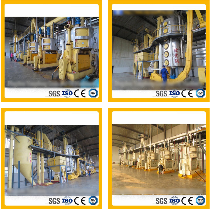 China's Economic Growth Shows Signs of Recovery Amid Global Challenges and Domestic Reforms