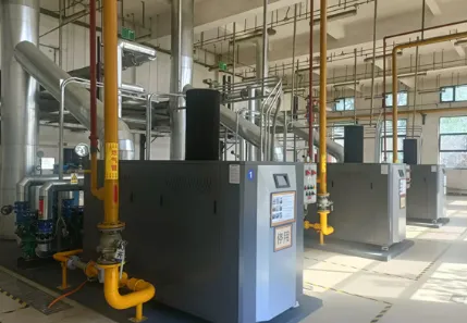 Switch to Natural Gas: The Smart Boiler Choice for Every Modern Home