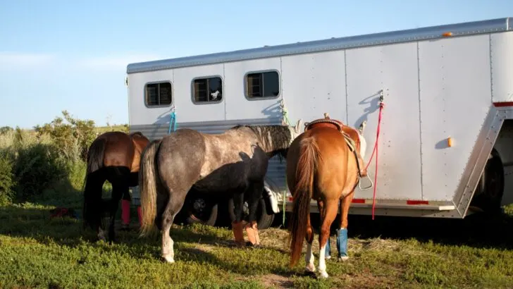 Careers in Manufacturing with Jost Opportunities for Growth and Innovation