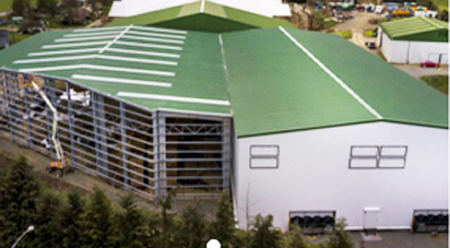 cut to length machine