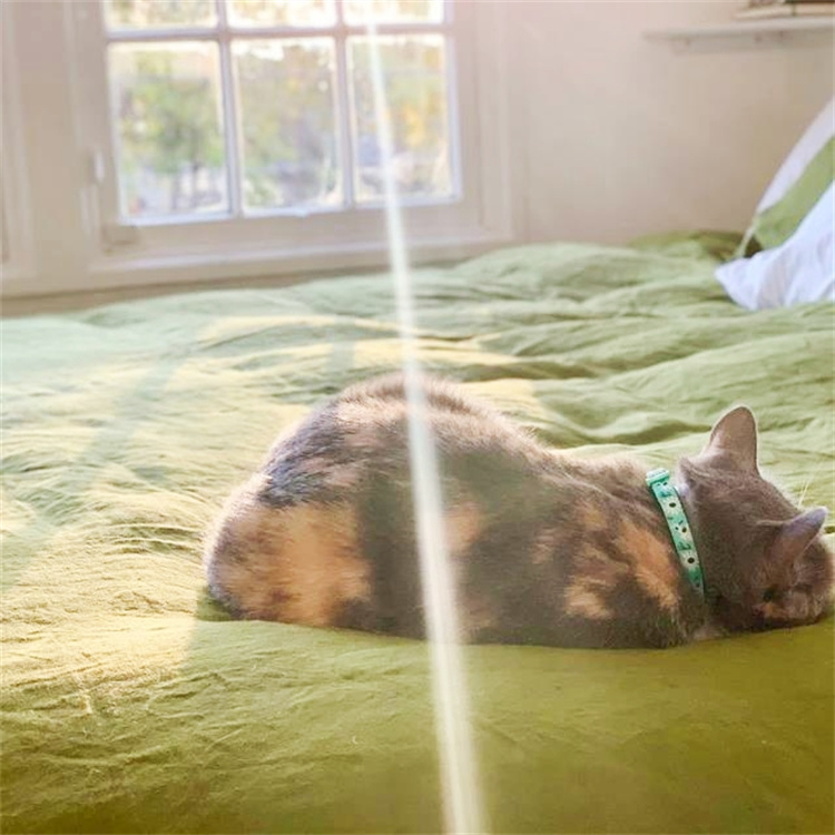 buy fabric baby play mat