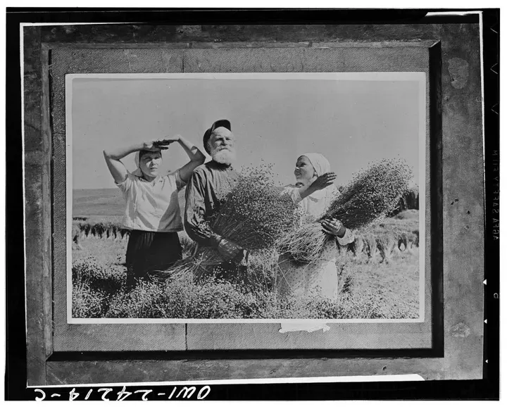 Hotel Duvet Cover Cleaning and Replacement Service for a Fresh Stay Experience