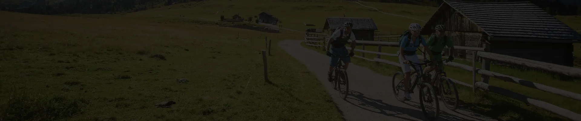 Read More About bmx bike suppliers