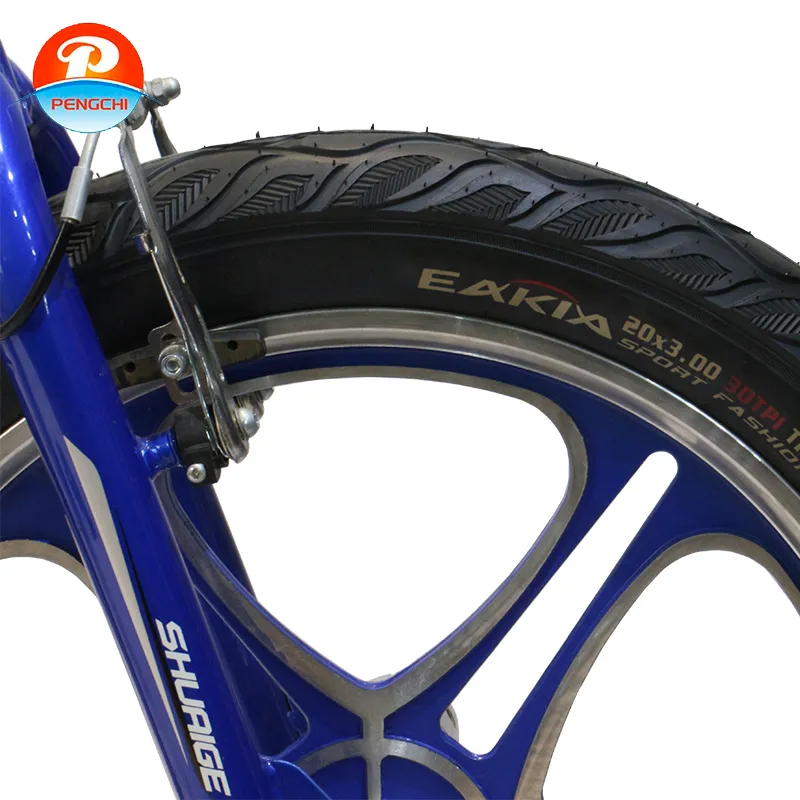 Exploring Eco-Friendly Urban Cycling Solutions for Sustainable City Living