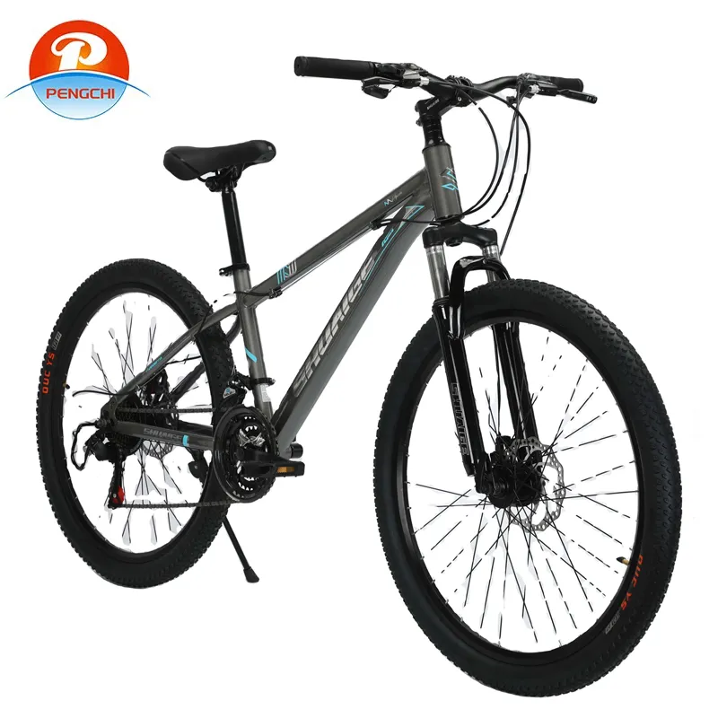 Wholesale Options for High-Quality Folding Bikes in Bulk Purchase