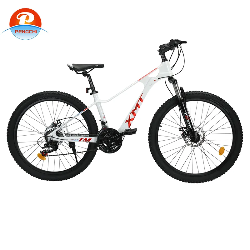 22-Inch BMX Bike for Thrilling Stunts and Adventures on Two Wheels