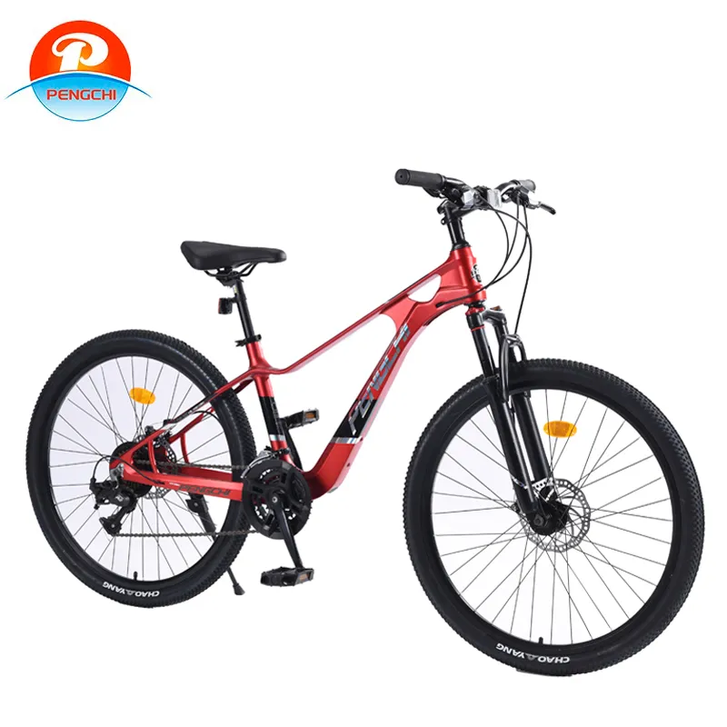 Compact Folding Bicycle for Easy Storage and Convenient Travel Solutions