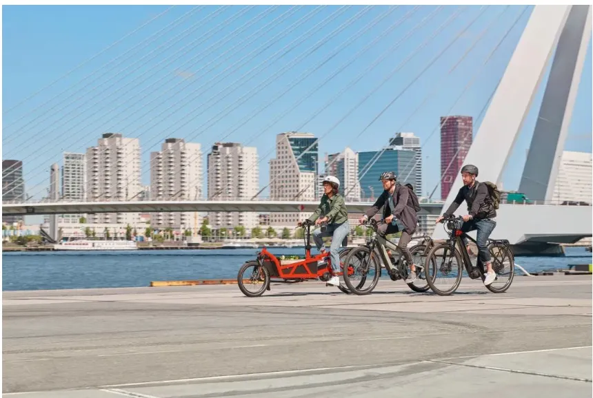 Tips for Selecting the Right Size Mountain Bike for Your Needs Tips for Selecting the Right Size Mountain Bike for Your Needs