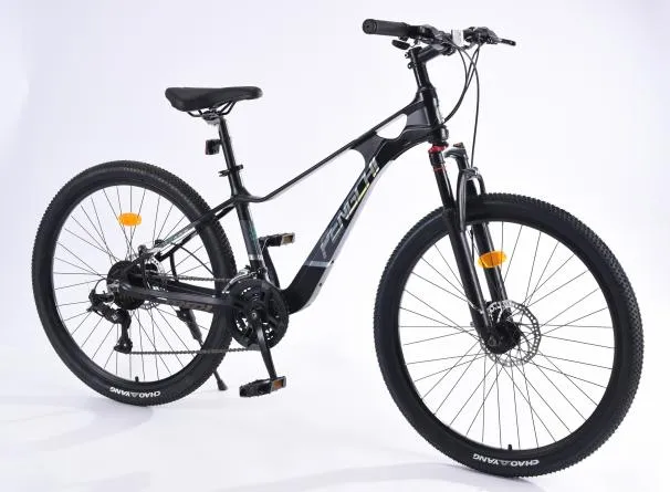 Exploring the City on Two Wheels A Bike Adventure Experience