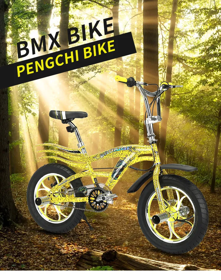 Exploring the Thrills of Cross-Country Mountain Biking Adventures Across Diverse Landscapes