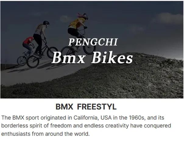 orange city bike orange city bike